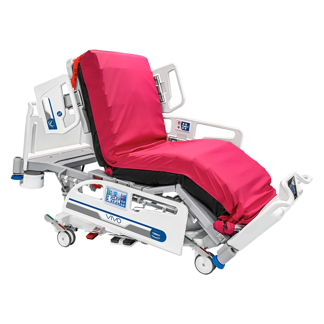 VIVO 01 malvestio